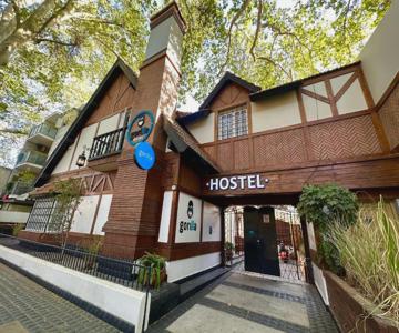 Gorilla - Hostel