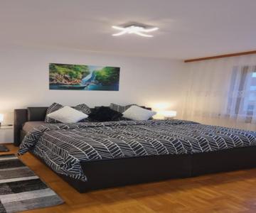 3- Zimmer-wohnung In Linz Leonding