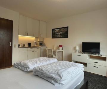 Studio Apartment Near Linz Main Train Station