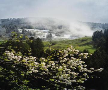 Heimathaus Hettegger Neue Gemütliche Ferienwohnung