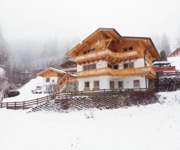 Alpensteinbock Saalbach D