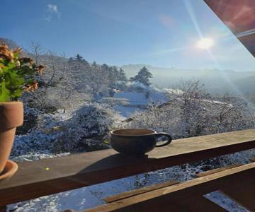 Gemütliche Waldrandlage In Badenweiler Sehringen Ferienwohnung