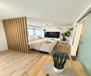 Das 1 Zimmer Apartment
