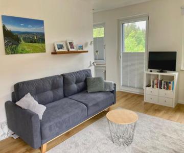 Hahnenklee Charme - Moderne Neue Ferienwohnung Mit 2 Balkons