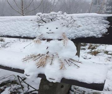Großdorf Appartement En Vogue Im Hahnenklee, Harz