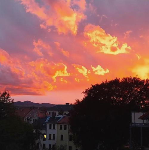 Ferienwohnung Anno1898 Zittau