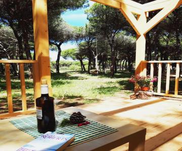 The Pineforest Cabin