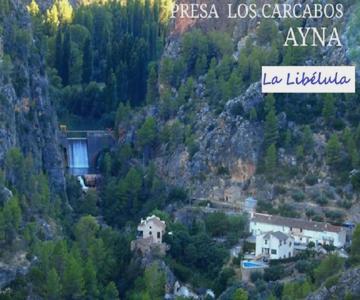 Casa Rural La Libelula Ayna