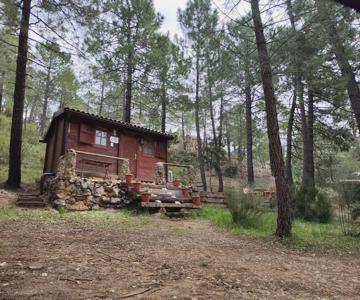Cabaña Los Chorros