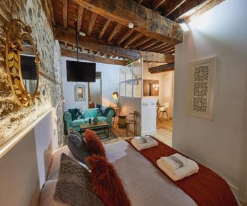 Lofts Amantes De Toledo -loft Cobertizo