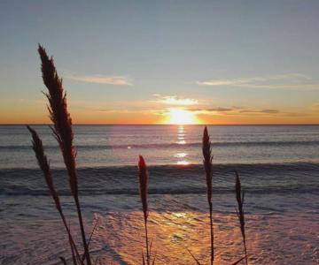 Casita Acceso Directo Al Mar