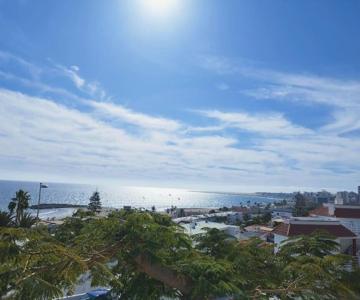 Flamboyán Vista Mar