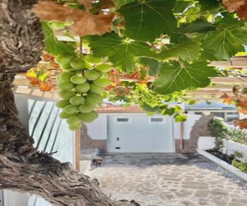 La Casita De La Parra, El Hierro