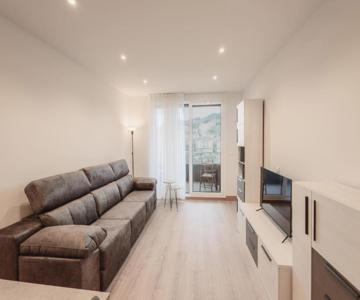 Artik I Local Rentss