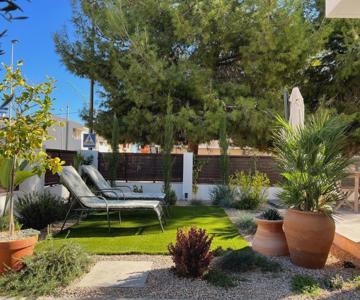 Apartment Lemon Tree