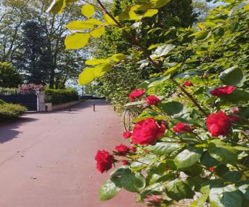 Studio Moderne, Place Parking Privé, Emplacement Idéal à 100 M Du Lac.