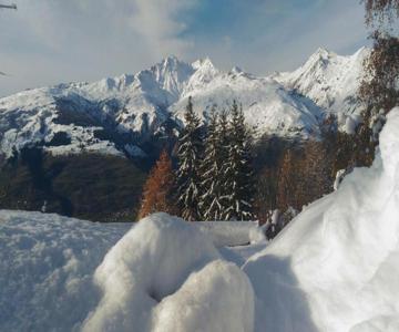 Les 3 Marmottes - Les Arolles