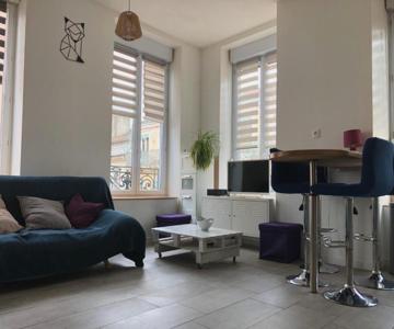 Joli Appart Au Centre De Lyon