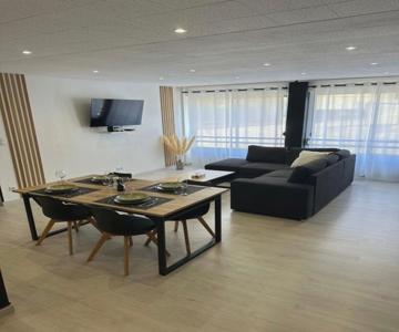 Grand Appartement Roanne Centre