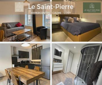 Hypercentre, Calme, Cosy - Le Saint-pierre