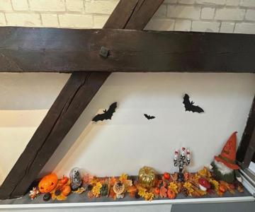 Le Cocon De Marckolsheim Proche Europapark