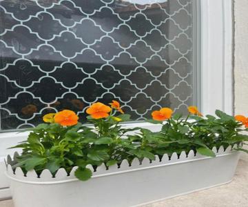 Etage Entier Privé, 45m2 Chez Regine