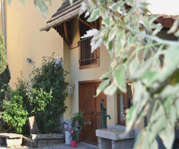 Strasbourg Dans Maison Individuelle Au Calme