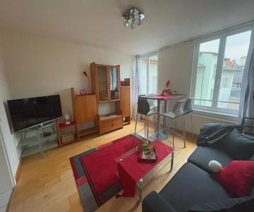 Appart 3p 57 M2 Le Coeur De La Krutenau Strasbourg