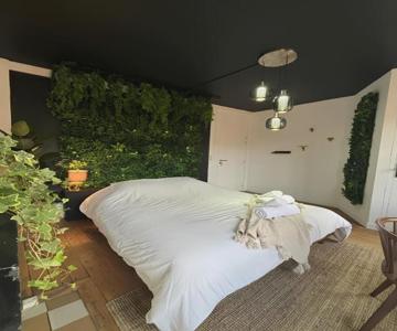 L'oasis Confort, Centre-ville