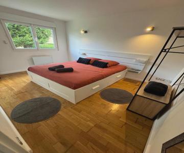 Beau Studio Plein Centre Ville