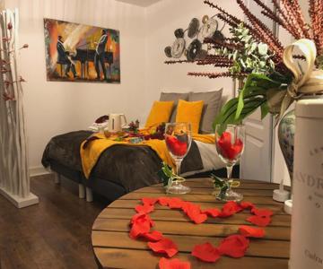 Les Appart's Des Demoiselles De Rochefort