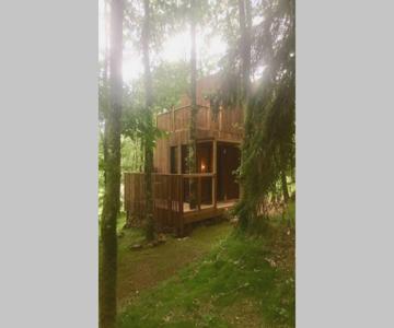 Adorable Cabane Dans Un Espace Boisé