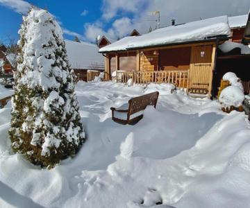 Confortable Chalet Pie Des Pistes Pyrénées 2000