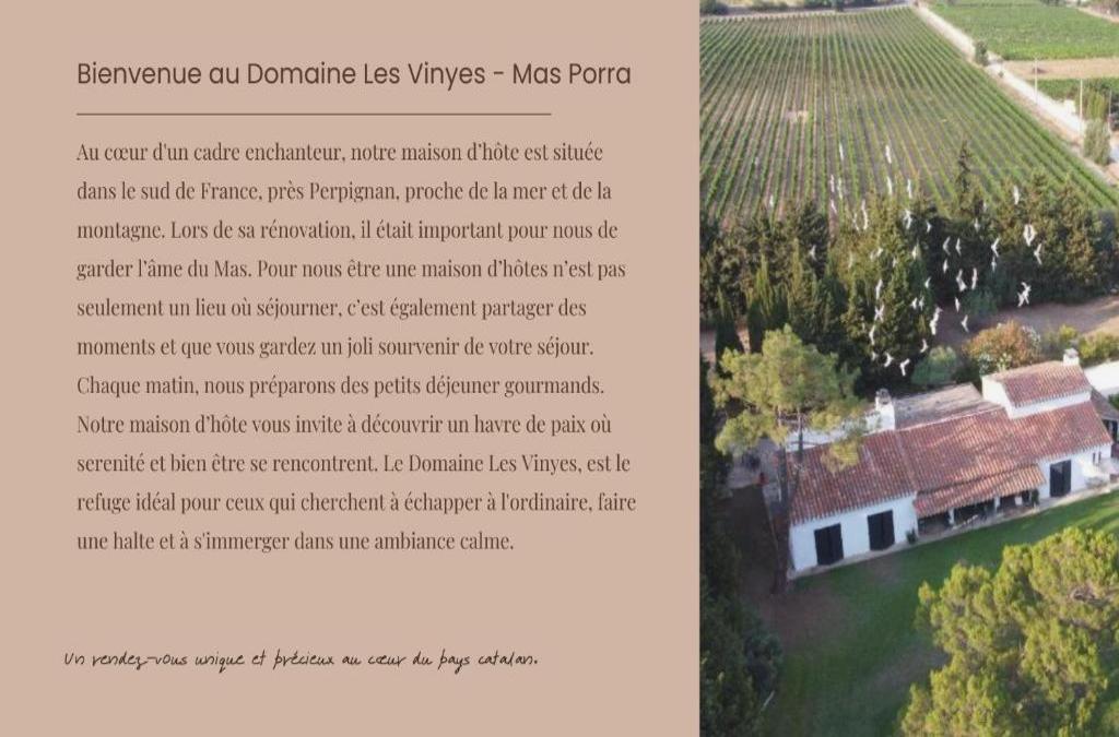 Domaine Les Vinyes