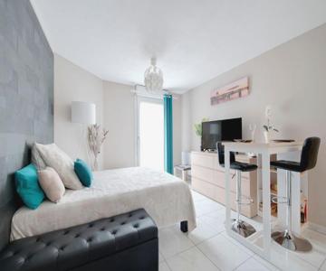 :) Grand Studio Lumineux à Toulouse Et Parking