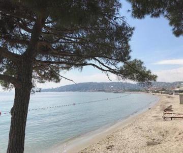 Juan Les Pins, T2 Cosy Et Confortable, Avec Parking En Sous-sol, Proche Plages Et Commerces
