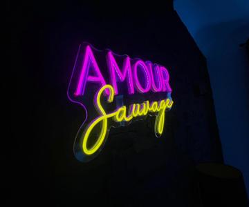 Amour Sauvage-love Room****, Centre-historique