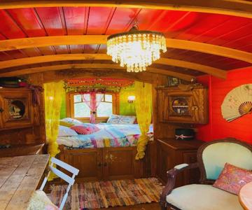 Centre Médiation Equine La Daouste