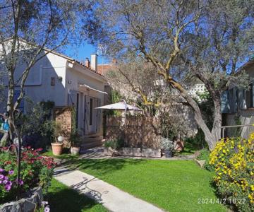 Les Oliviers De Camargue