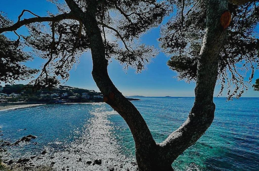 Escapade Au Cœur De Sanary