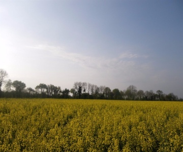 South Norfolk's Guest House