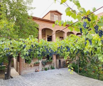 Magdalena's House