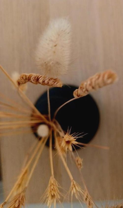 Nisaki Rooms & Apartments