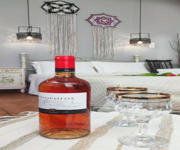 Dream Catcher Studio