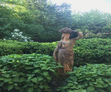 Embassy Row BnB