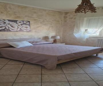 Mary Rose - Locazione Turistica