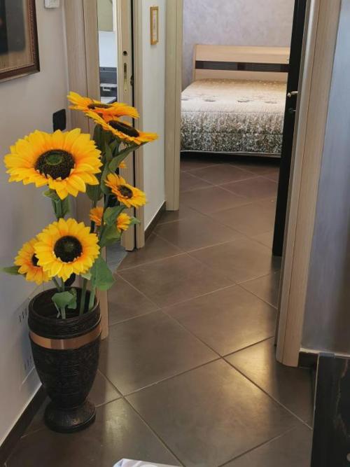 Nsm Casa Di Fulmine Attico Con Box Privato
