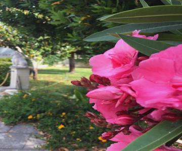 Villa Daniela - Appartamento In Villa