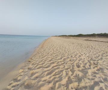 Specchiarica Holiday House