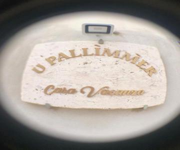 U Pallimmer